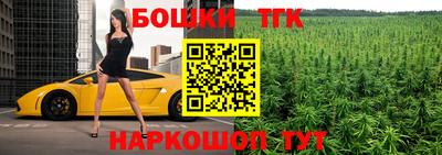 стафф Лесосибирск
