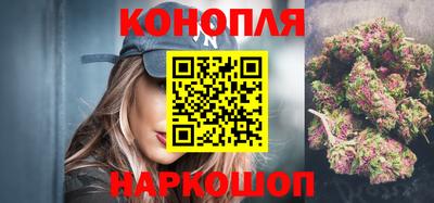 стафф Лесосибирск