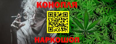 стафф Лесосибирск